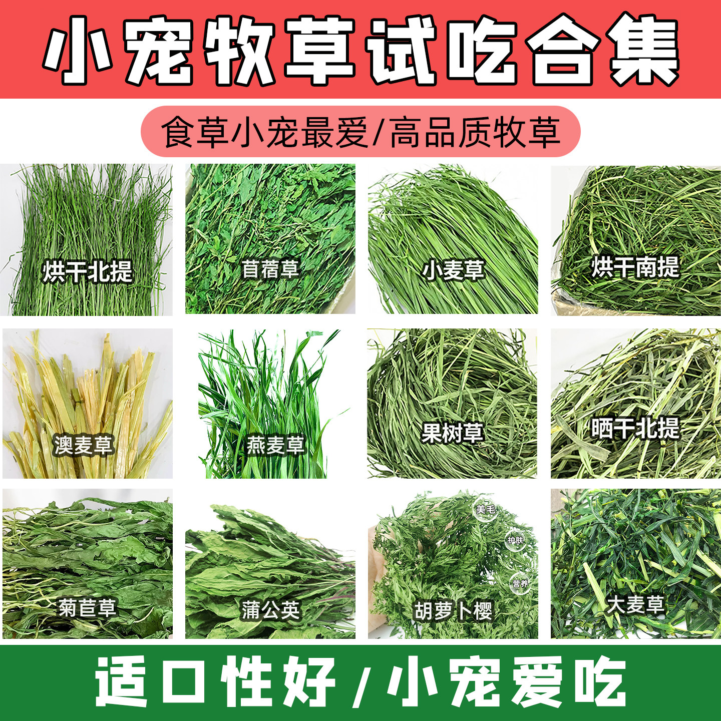 兔子试吃牧草提摩西草南提北提干草龙猫果树草燕麦草黑麦草50g