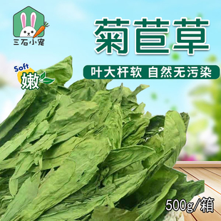 烘干菊苣草龙猫兔子豚鼠调理肠胃干草清热去火软便菊苣叶零食500g