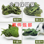 小宠零食清新干薄荷叶桑叶菊苣草蒲公英干草兔子龙猫清热去火保健