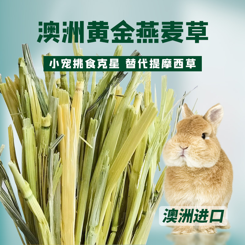 澳洲进口黄金燕麦草富含粗纤维