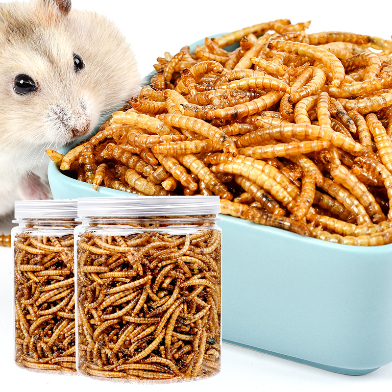 买二送一仓鼠粮黄粉面包虫干刺猬龟粮仓鼠主粮零食面包虫20g包邮