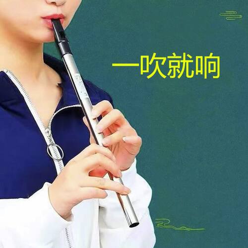 金属笛子短竖笛哨笛子6孔初学者