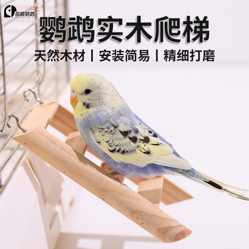 高能鹦鹉鸟玩具天然实木玩耍解闷