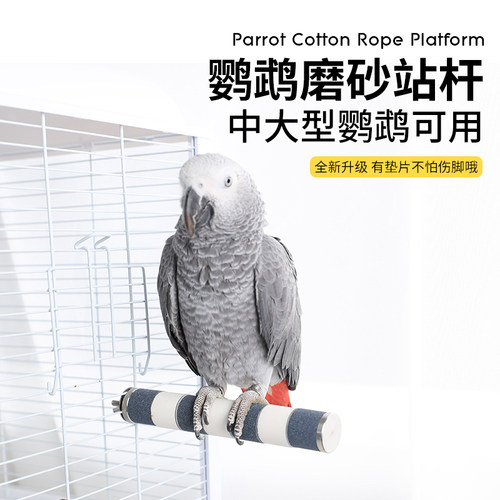 高能鹦鹉304不锈钢支持定制