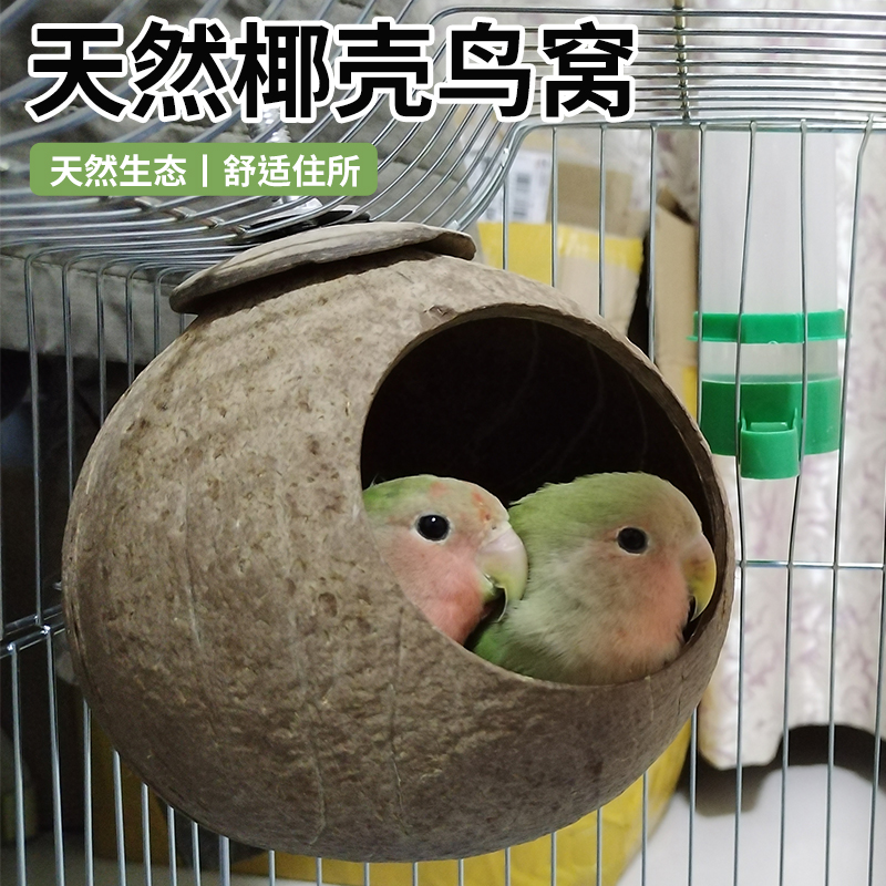 高能鹦鹉鸟窝天然椰子防风保暖