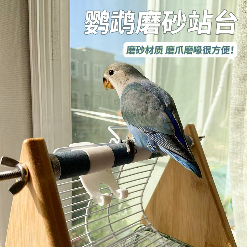 高能鹦鹉磨爪站台磨爪站棍结实图片