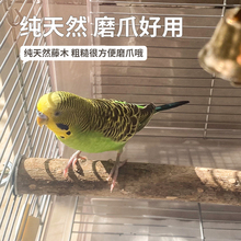 玄凤鹦鹉花椒木鸟站杆磨爪棍鹦鹉站台休息栖息台原木跳板啃咬玩具