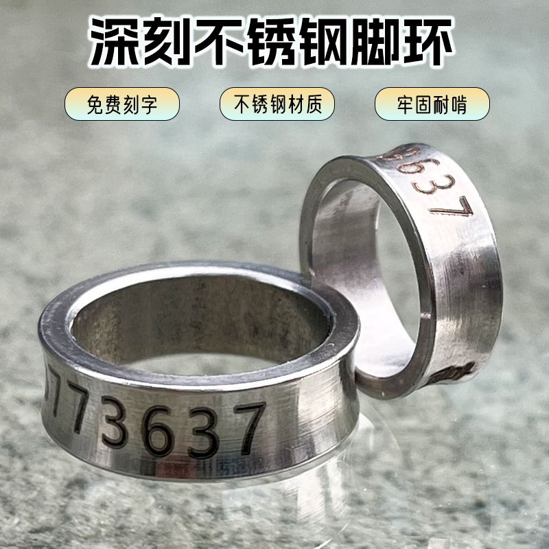 高能鹦鹉不锈钢标识环不锈钢脚环