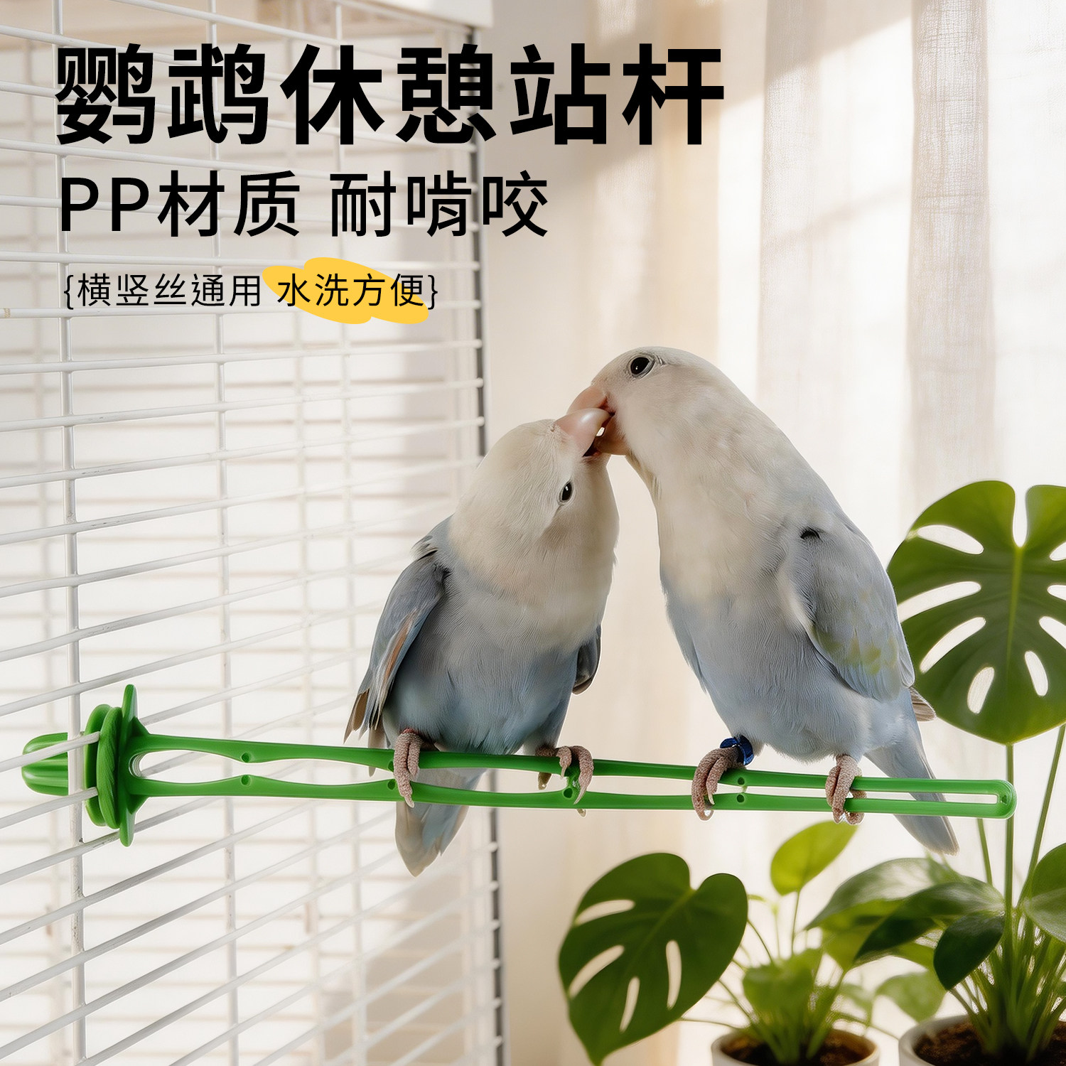 高能鹦鹉磨爪树枝站杆解闷鸟站架图片