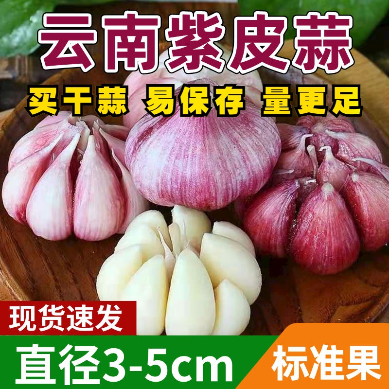 云南高原包邮老品种小香紫皮大蒜