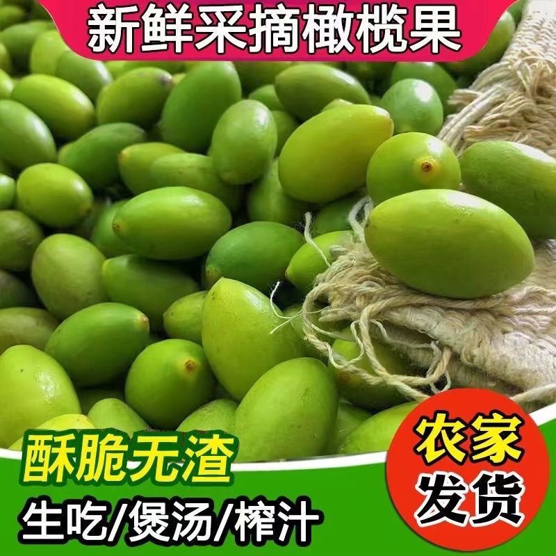 福建新鲜青橄榄当季特产孕妇水果煲汤生吃回甘酥脆奶茶店