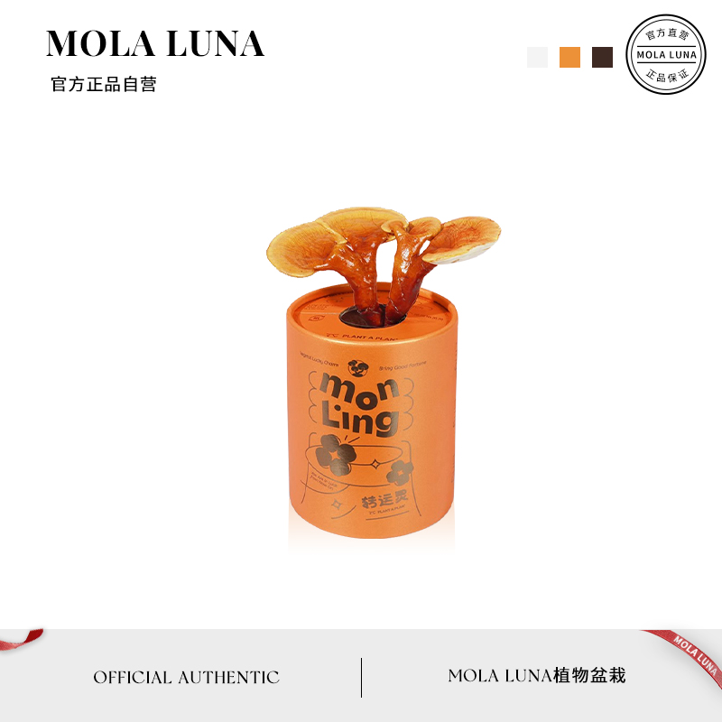 MOLALUNA转运灵活灵芝盆栽
