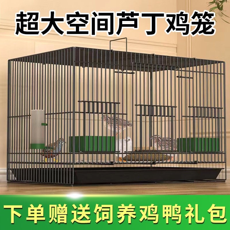 芦丁鸡专用养殖笼子家用加密大号芦丁鸡铁丝笼小鸡小鸭子鹌鹑鸟笼