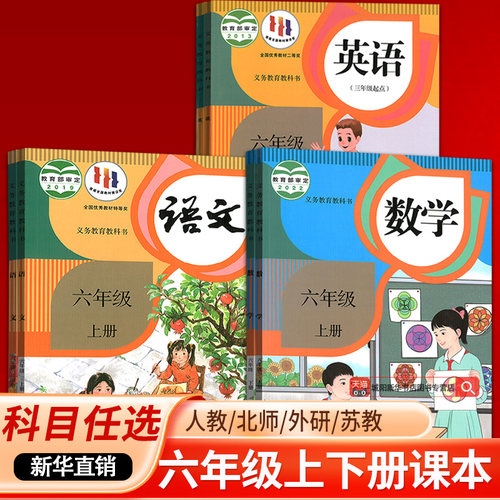 【新华书店】使用小学6六年级上册全套课本六年级上册下册语文数学英语书课本书人教版部编版6上下课本教材全套北师译林苏教外研版