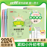 2024春专项小学总复习系统强化训练语文数学英语人教版湘少版六年级课本同步练习小学升学测试卷复习册小升初6年级