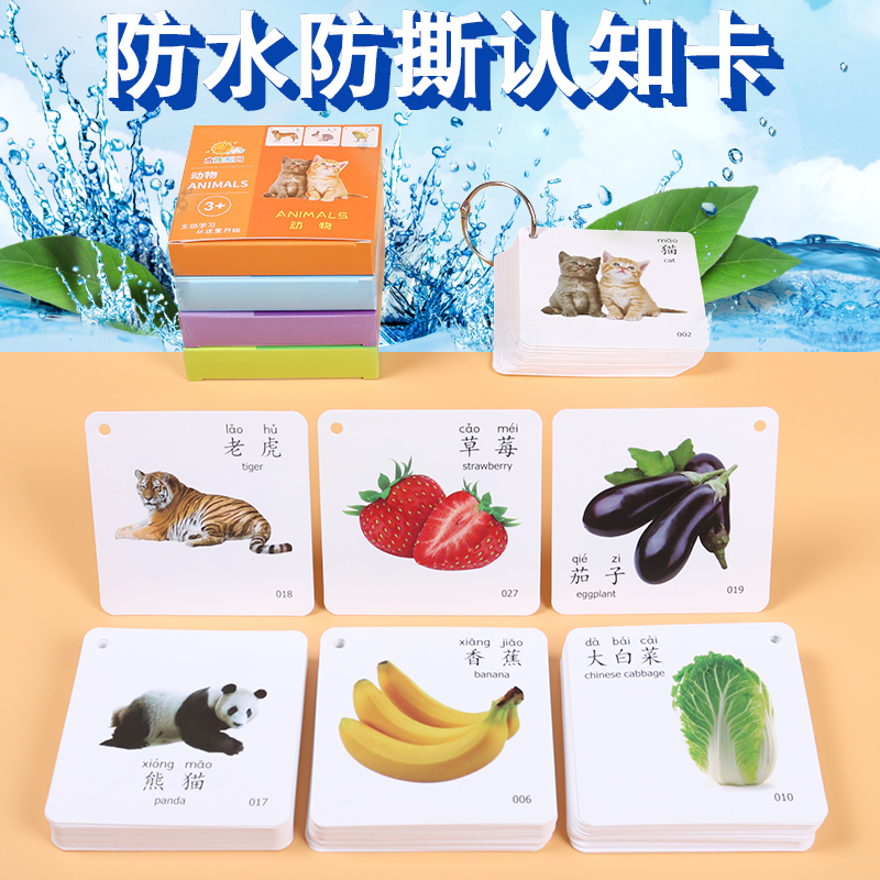 宝宝婴幼儿童看图水果启蒙动物