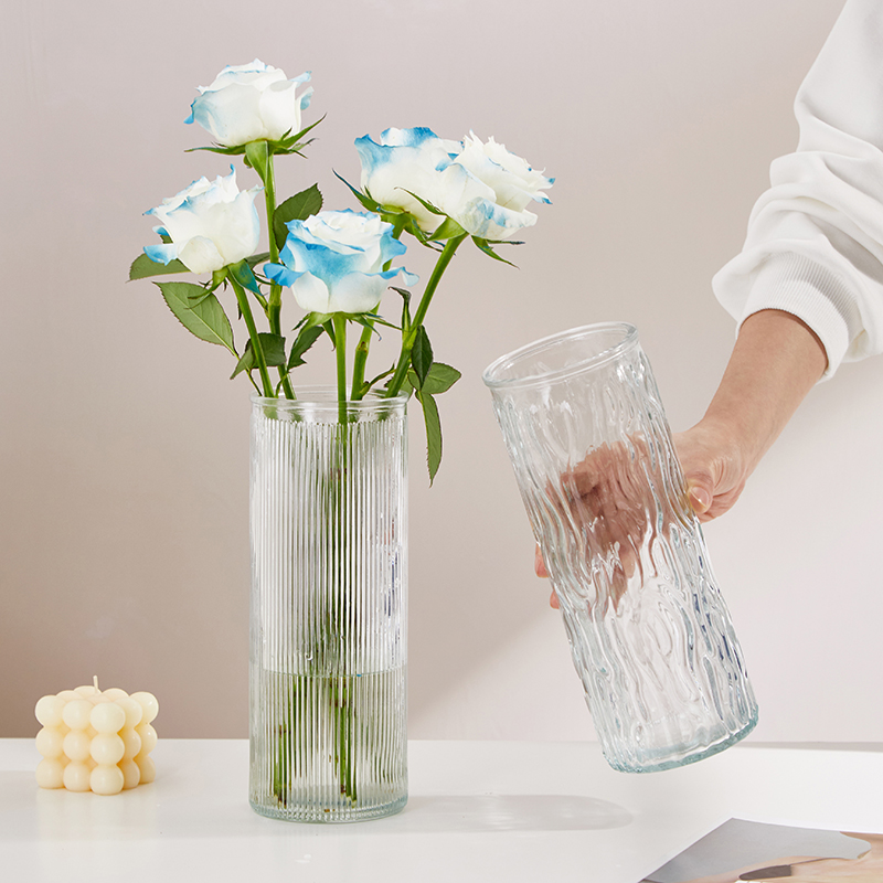 茹园ins风冰川玻璃花瓶水养鲜花