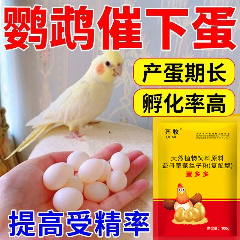 牡丹鹦鹉蛋增蛋宝快速配对
