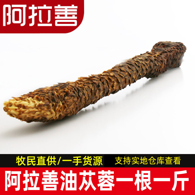 【蒙甄选】内蒙古阿拉善原产地荒漠秋季油苁蓉整根软肉苁蓉1根1斤