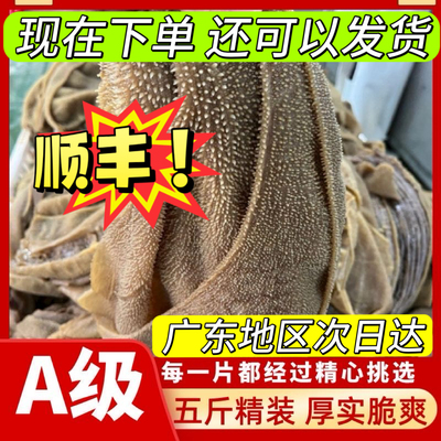 大叶片毛肚商用新鲜毛肚火锅食材