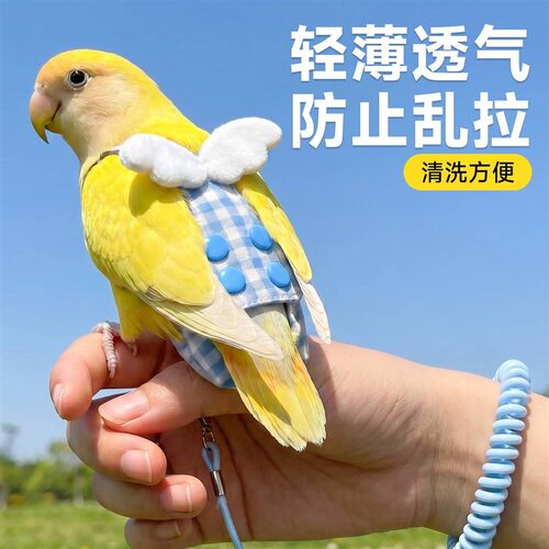 鹦鹉兜屎牵引绳纸尿裤一次性便兜粪兜牡丹小太阳拉屎神器专用衣服