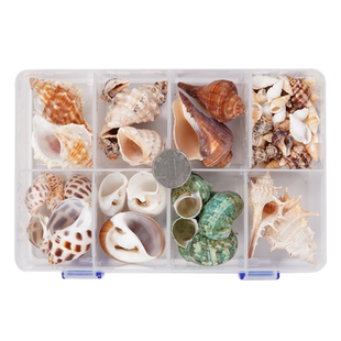 盒装寄居蟹壳卷贝鱼替换专用壳天然海螺壳繁殖鱼缸造景水族箱装饰