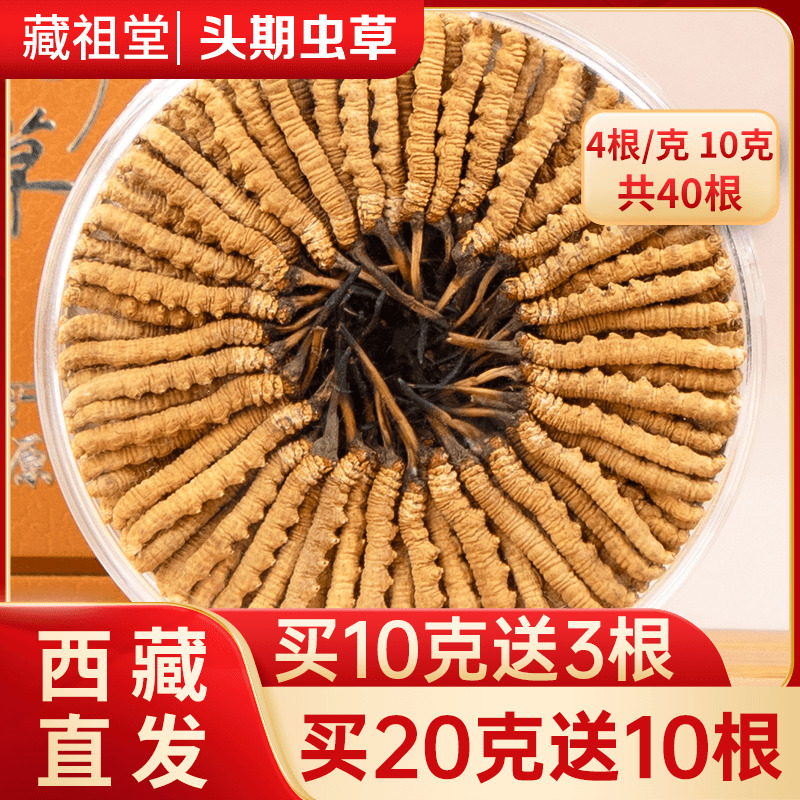 冬虫夏草旗舰店4根/克10克40根正品头期虫草干货50克礼盒装