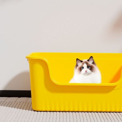 猫砂盆超大号全开放式半封闭厕所防外溅屎盆特巨大布偶缅因猫沙盆