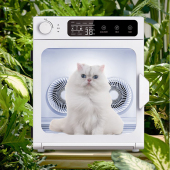 清度快速宠物烘干箱小狗猫咪洗澡吹风烘干燥去水毛消毒异味机箱器