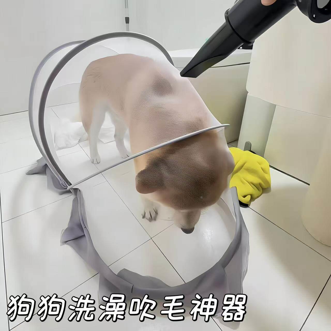 狗狗洗澡吹毛神器!可折叠蚊帐便携式防毛发飞溅狗罩子防蚊虫神器