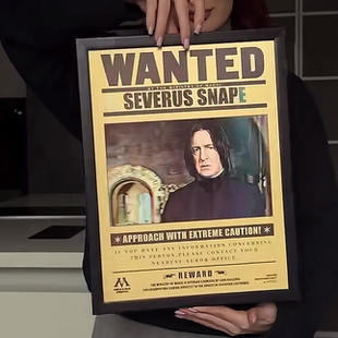 创意画框哈利波特3d动漫立体画海报渐变立体海报新家装饰送朋友