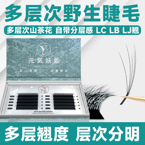 3D多层次！野生山茶花睫毛