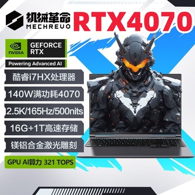 机械革命蛟龙16Pro15K极光X4060