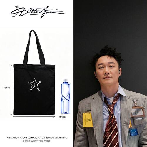 eason陈奕迅星仔应援服定制DIY帆布包袋单肩手提环保文件包