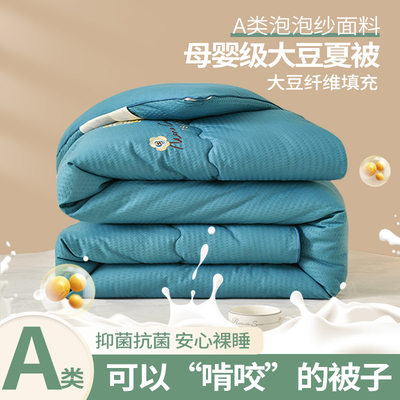 远梦大豆纤维被四季被亲肤保暖