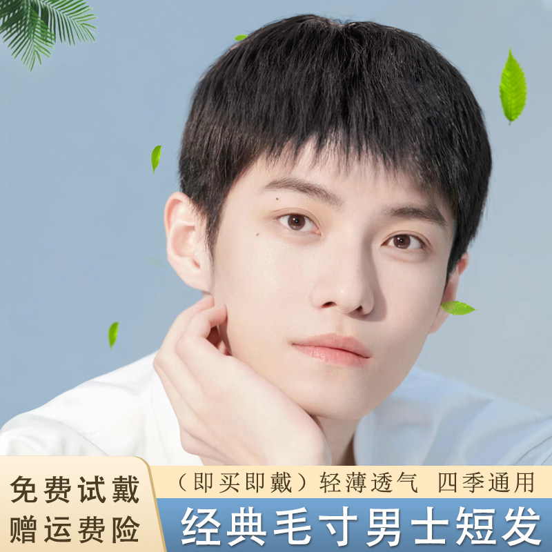 假发男短发全真发全头套式男士毛寸假发头套时尚自然蓬松透气逼真