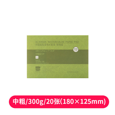 宝虹学院级水彩本四面封胶300gsm棉浆水彩画纸32k16k8k中粗纹