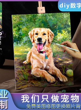 萌宠工坊宠物数字油画定制小猫咪狗DIY手工绘填上色装饰画纪念品