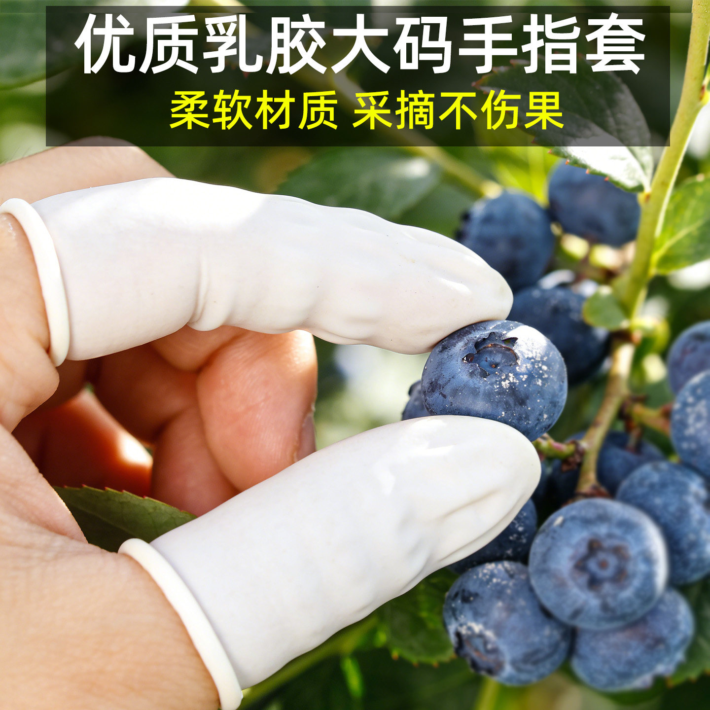 大码乳胶手指套摘蓝莓专用拇指套一次性防滑耐磨加厚橡胶劳保护指