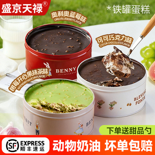 蛋糕铁罐子慕斯甜品小蛋糕巧克力奥巧蓝莓抹茶罐罐装盒子顺丰包邮