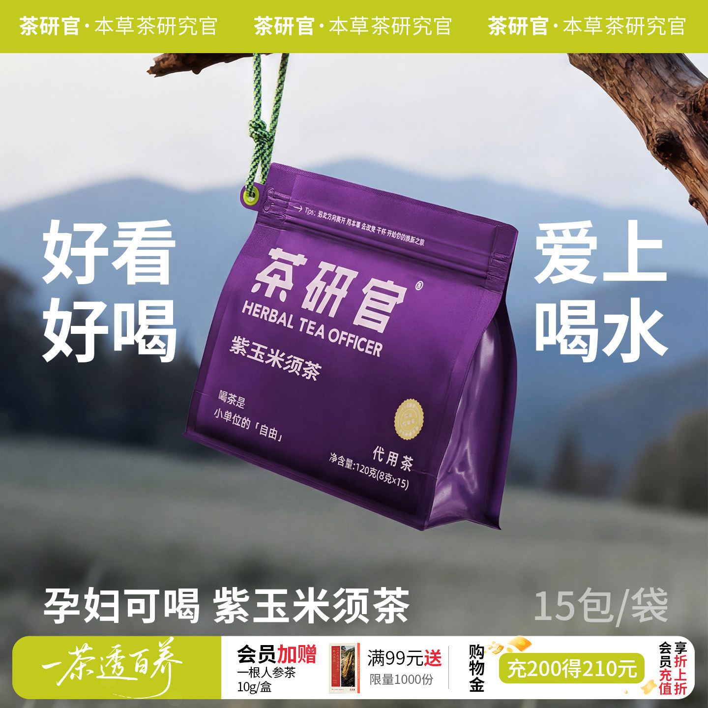 茶研官紫玉米须茶养生花茶图片