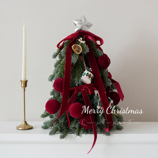 纯pe诺贝松圣诞树仿真客厅桌面小型装饰场景迷你diy新款家用摆件