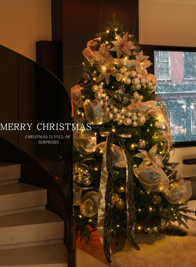 圣诞树2025新款纯pe高级感金色圣诞节装饰家用客厅耶诞christmas