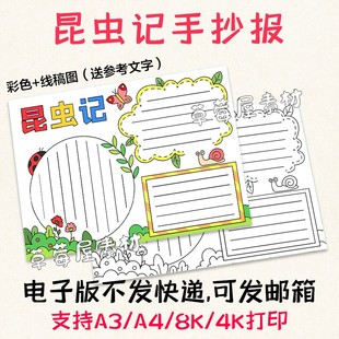 空白模板卡通小报A3A4 昆虫记儿童读书手抄报 黑白涂色线稿电子版