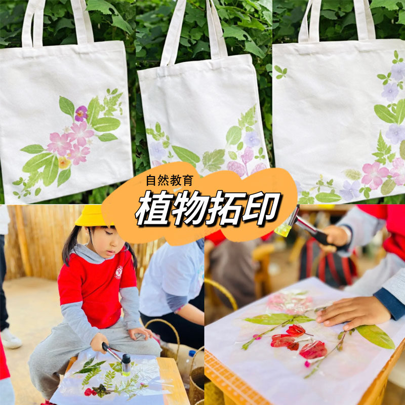 幼儿园大班儿童美术益智区域材料植物树叶敲拓印染成品自制教玩具