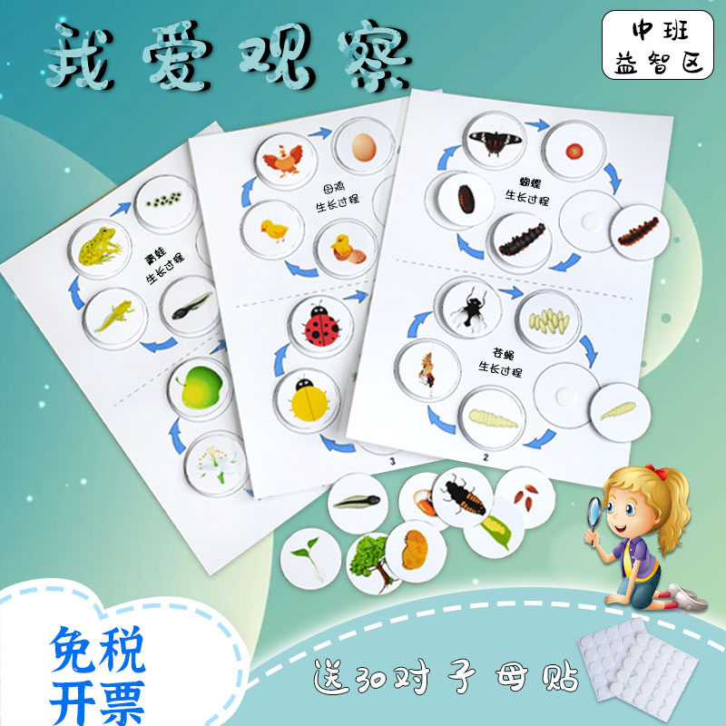 幼儿园自制教玩具小中班科学区区角材料投放动植物生长过程早教
