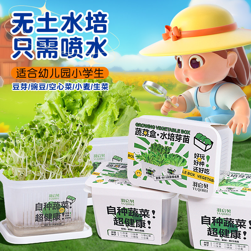 小学生绿豆芽种植观察盒日记植物发芽神器家用生长四年级实验水培
