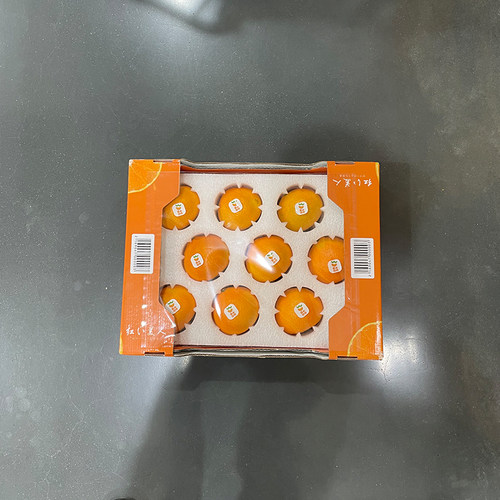 红美人柑橘浙江当季水果新鲜