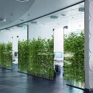 办公空间竹海绿植橱窗美化竹子竹林森林氧吧贴膜会议室遮丑静电膜