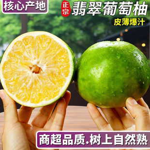 福建漳州葡萄柚新鲜水果整箱翡翠青媛青皮精品礼盒5斤10斤+榨汁杯